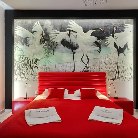 Vila Barbara Vižinada